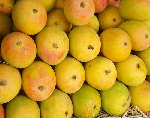 100% organic devgad alphonso mango